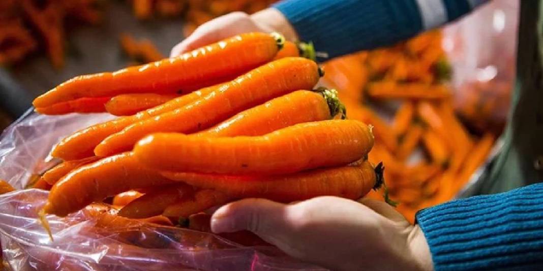 Faydası çok ama dengeli tüketim şart! Her gün havuç yerseniz vücudunuzda neler olur? Cevabı sizi çok şaşırtacak 1